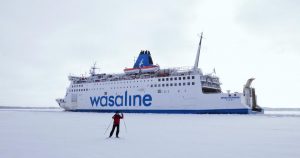 Wasaline Winter1.jpg